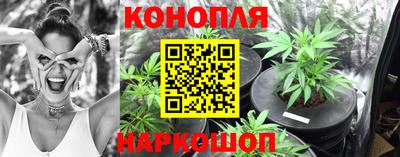 mdpv Аргун