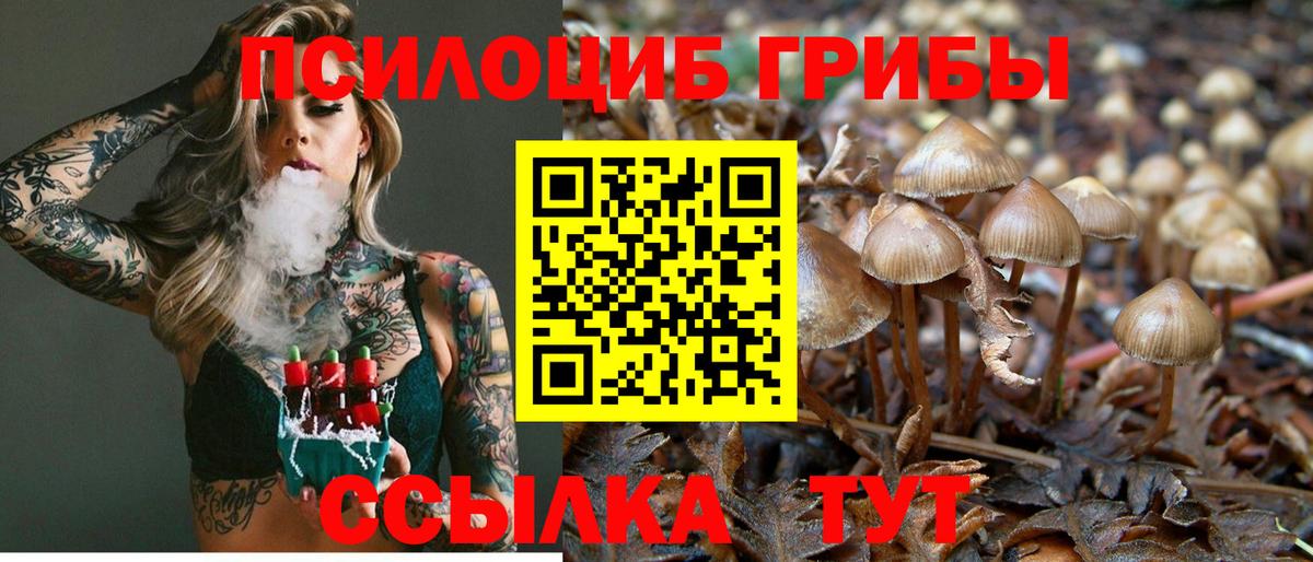 Псилоцибиновые грибы мухоморы  Вход с VPN  Благодарный 
